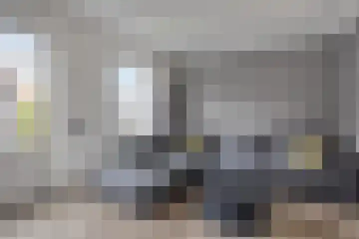 De Hooimijt 23 Made thumbnail 6