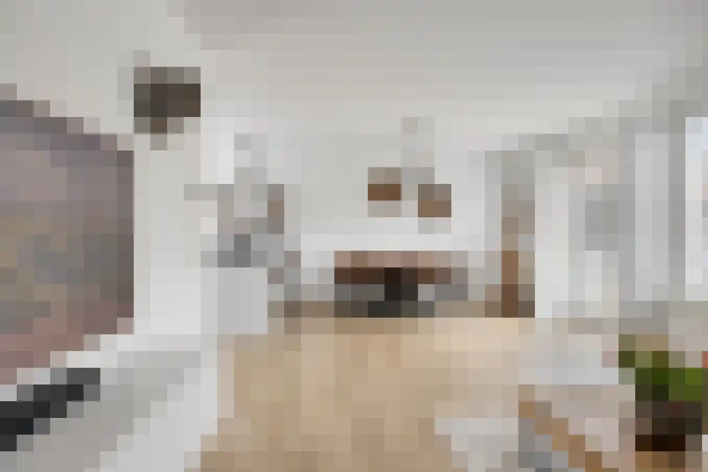 De Hooimijt 32 Made thumbnail 13