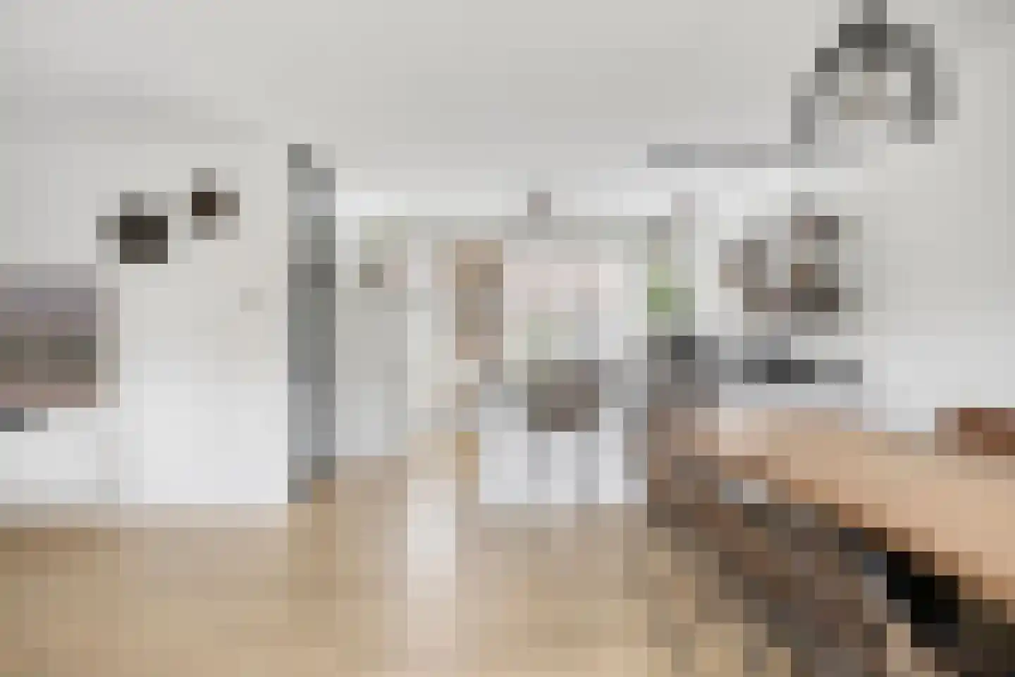 De Hooimijt 32 Made thumbnail 17