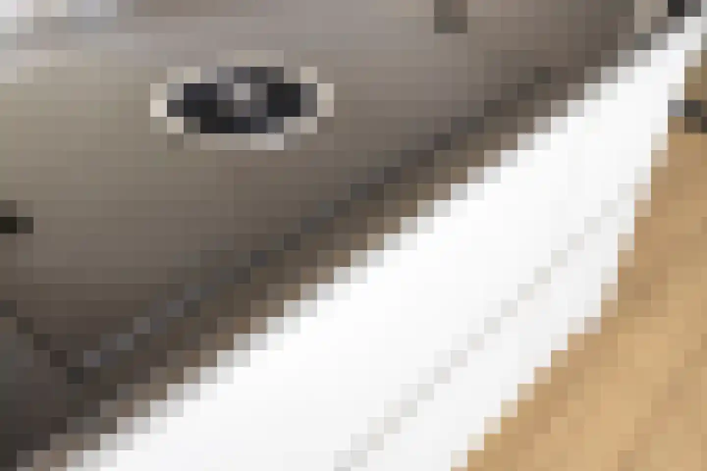 De Hooimijt 32 Made thumbnail 22