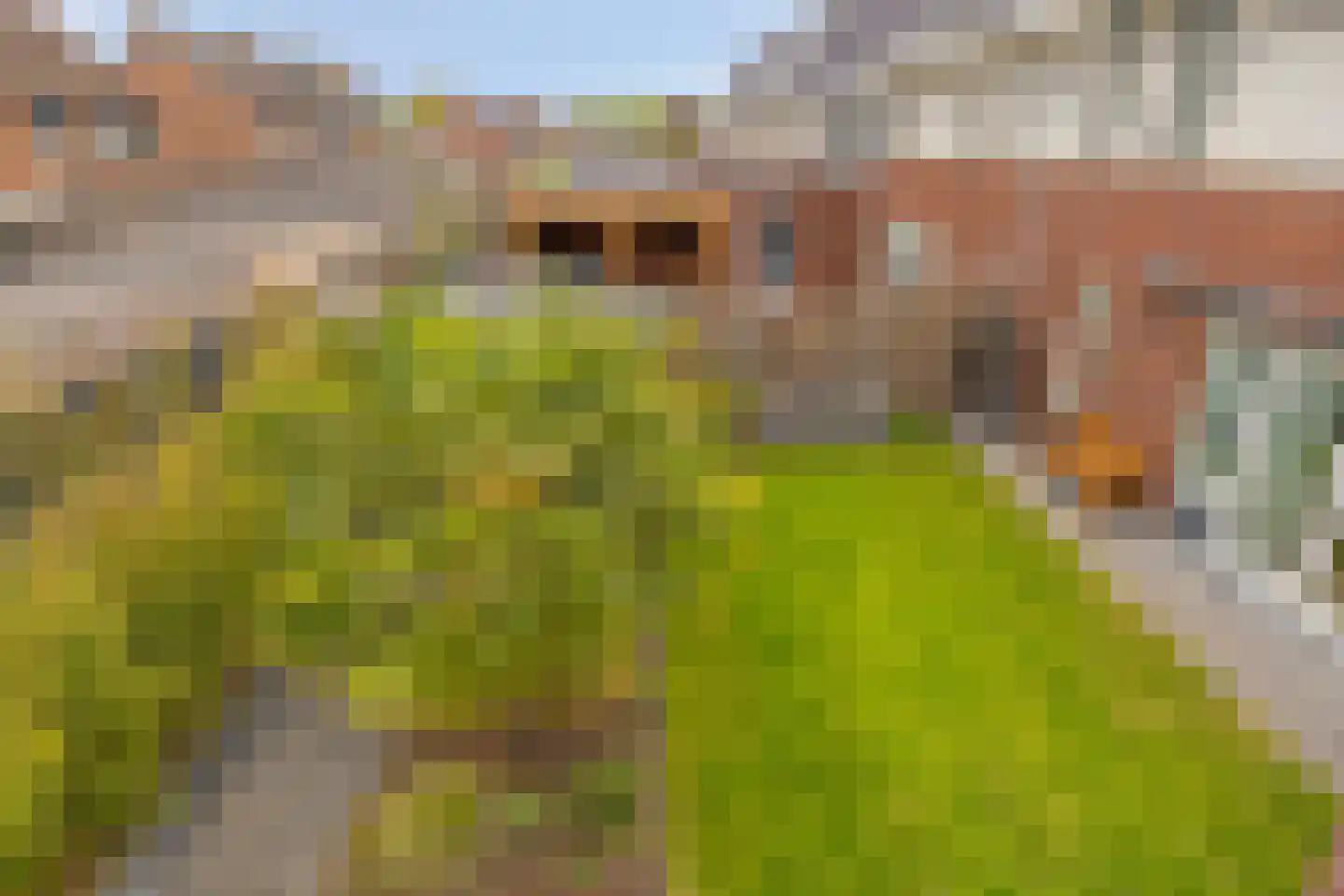 De Hooimijt 32 Made thumbnail 43