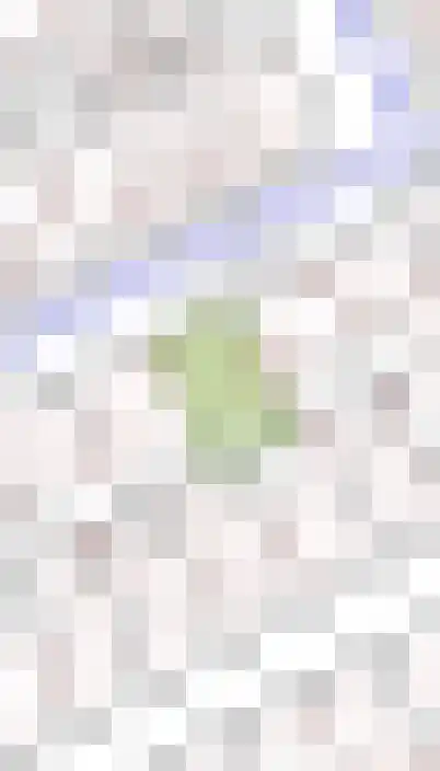 De Hooimijt 32 Made thumbnail 58