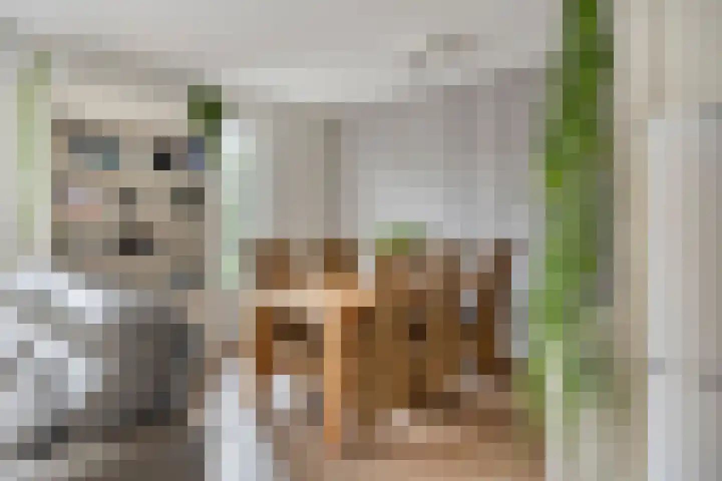 De Hooimijt 36 Made thumbnail 11