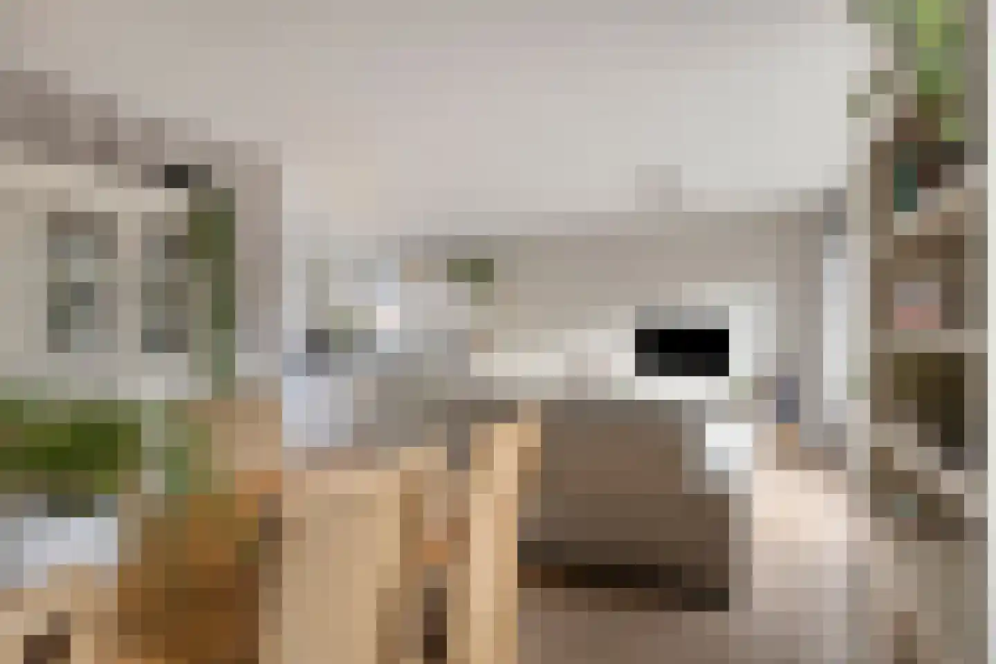 De Hooimijt 36 Made thumbnail 12