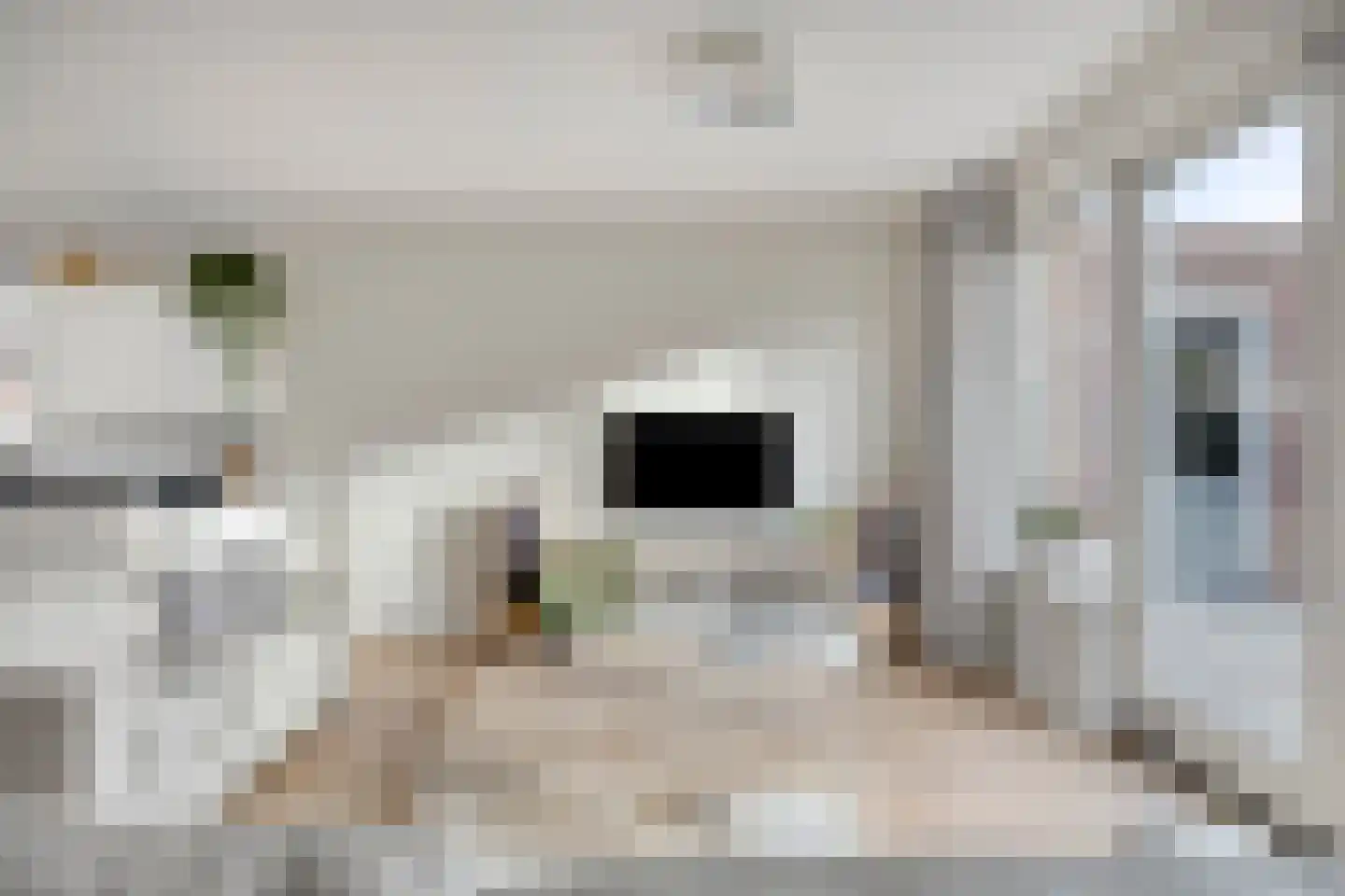 De Hooimijt 36 Made thumbnail 7