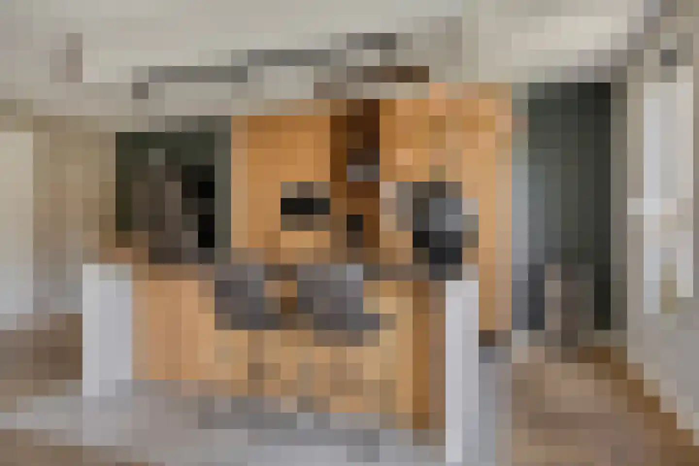 De Hooimijt 38 Made thumbnail 23