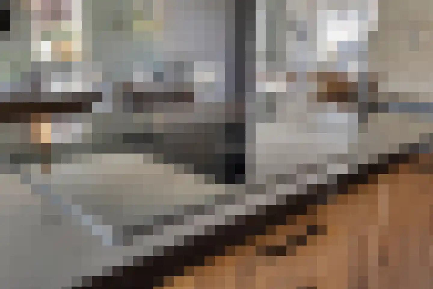 De Hooimijt 38 Made thumbnail 24