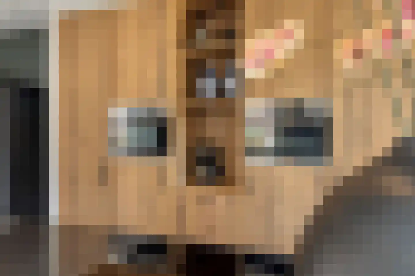 De Hooimijt 38 Made thumbnail 25