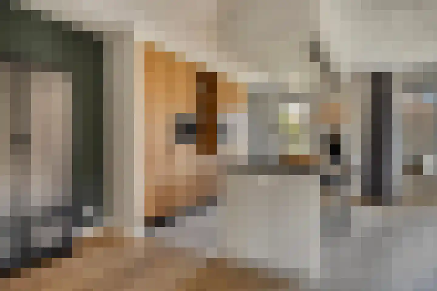 De Hooimijt 38 Made thumbnail 27