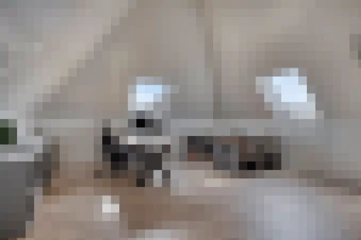 De Hooimijt 38 Made thumbnail 40