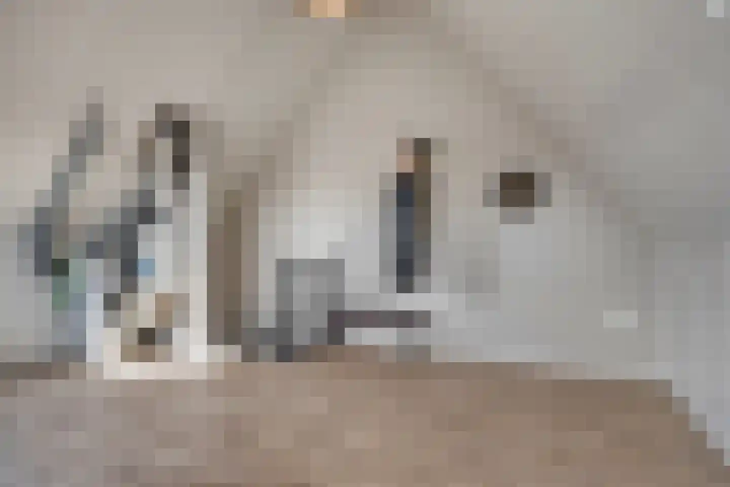 De Hooimijt 38 Made thumbnail 41