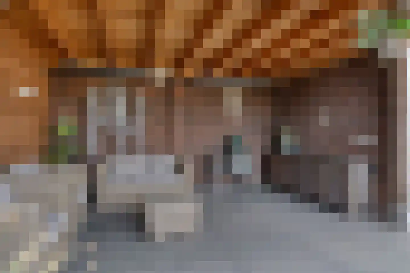 De Hooimijt 38 Made thumbnail 46