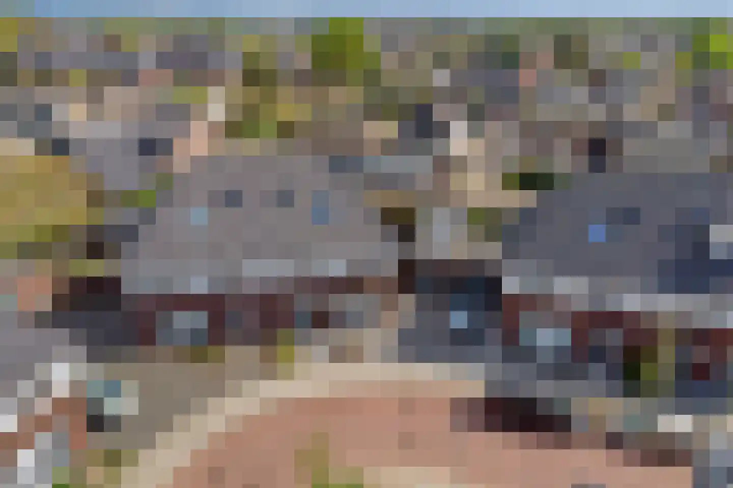 De Hooimijt 38 Made thumbnail 51