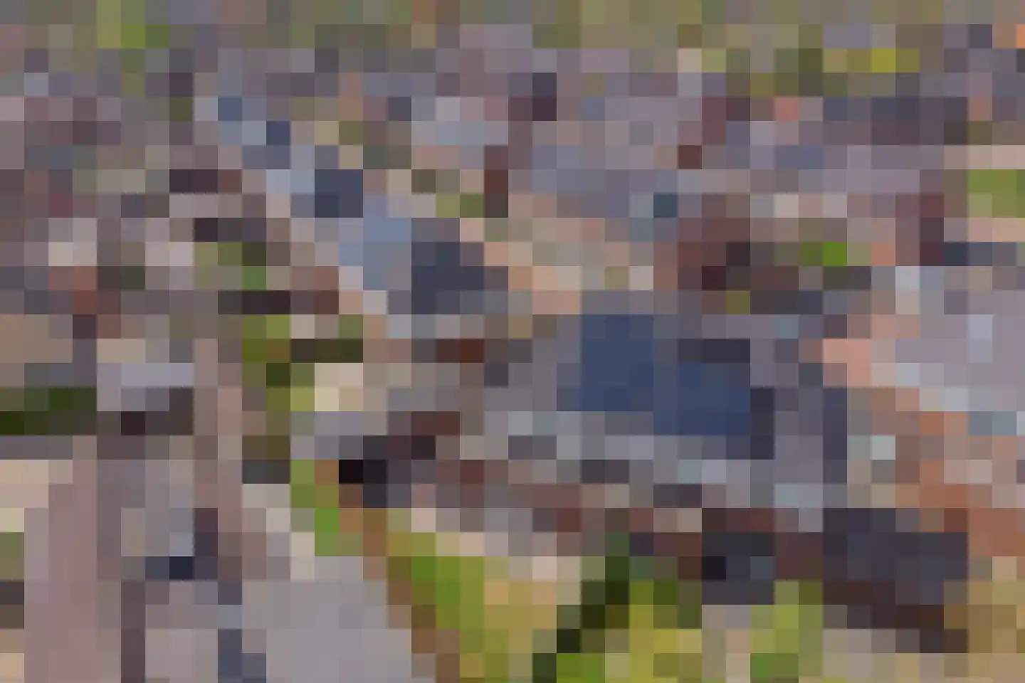 De Hooimijt 38 Made thumbnail 55