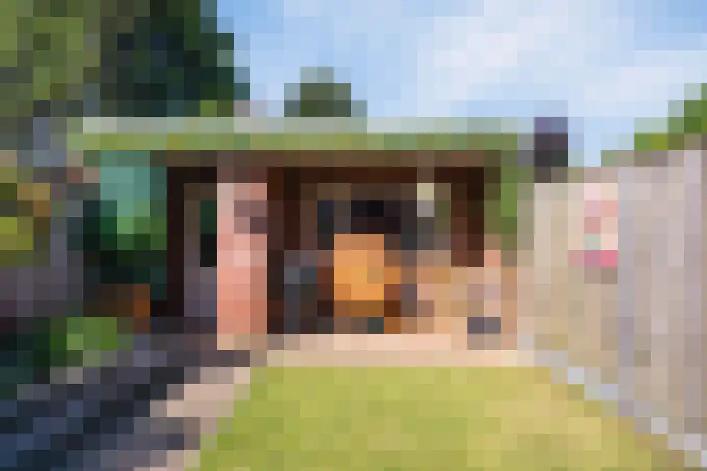 De Hooimijt 4 Made thumbnail 26