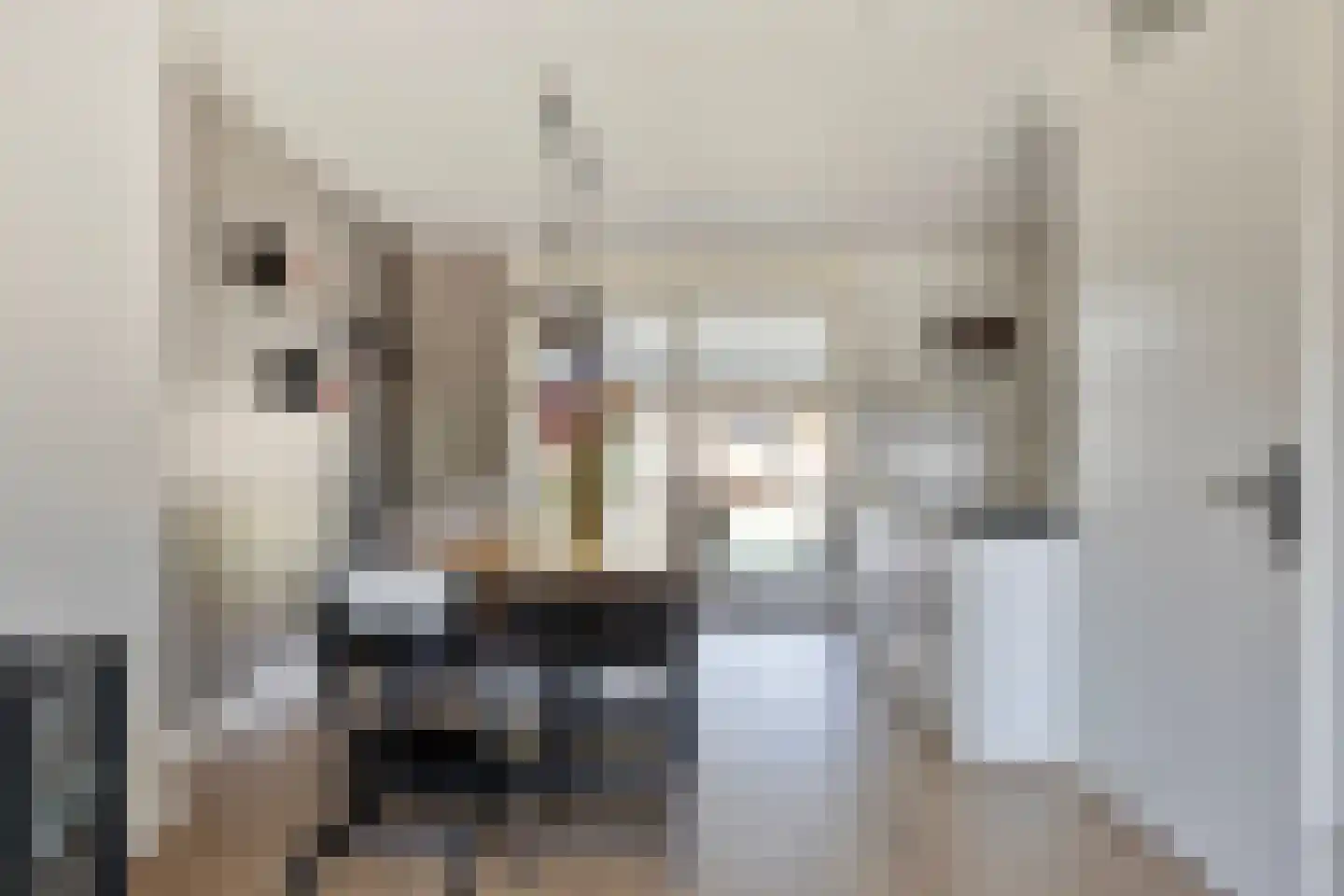 De Hooimijt 4 Made thumbnail 8