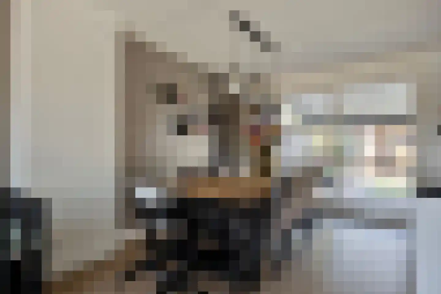 De Hooimijt 4 Made thumbnail 9