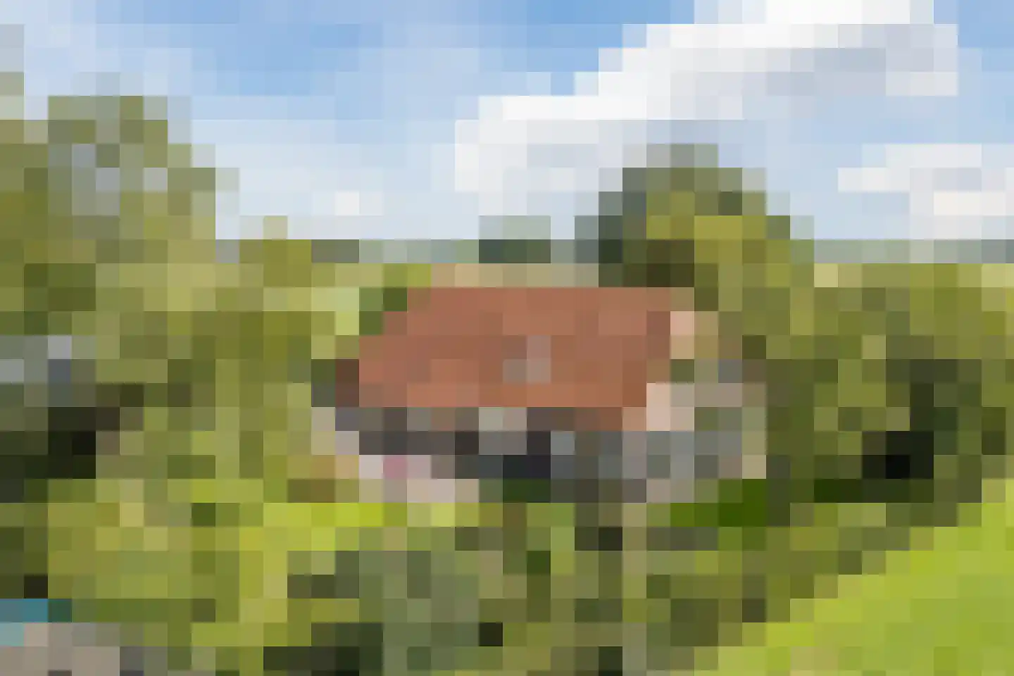 De Hooislagen 4 Dalfsen