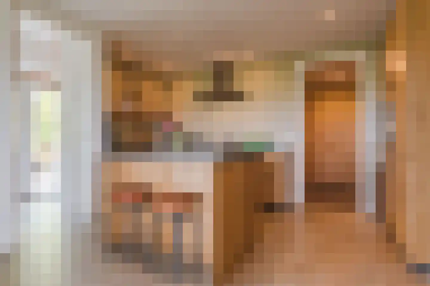 De Hooislagen 4 Dalfsen thumbnail 12