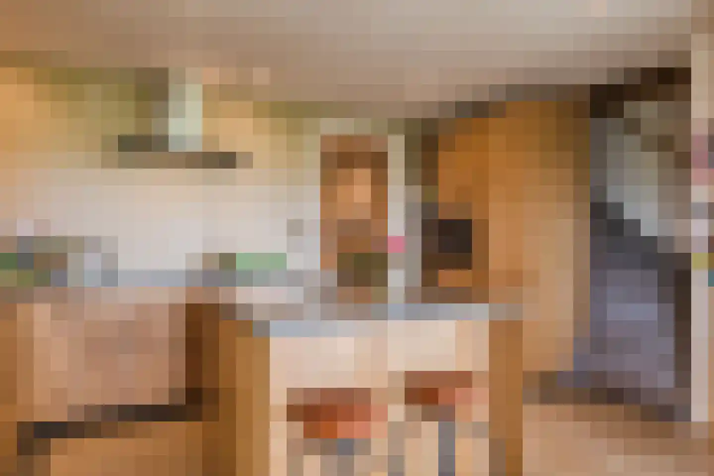 De Hooislagen 4 Dalfsen thumbnail 14
