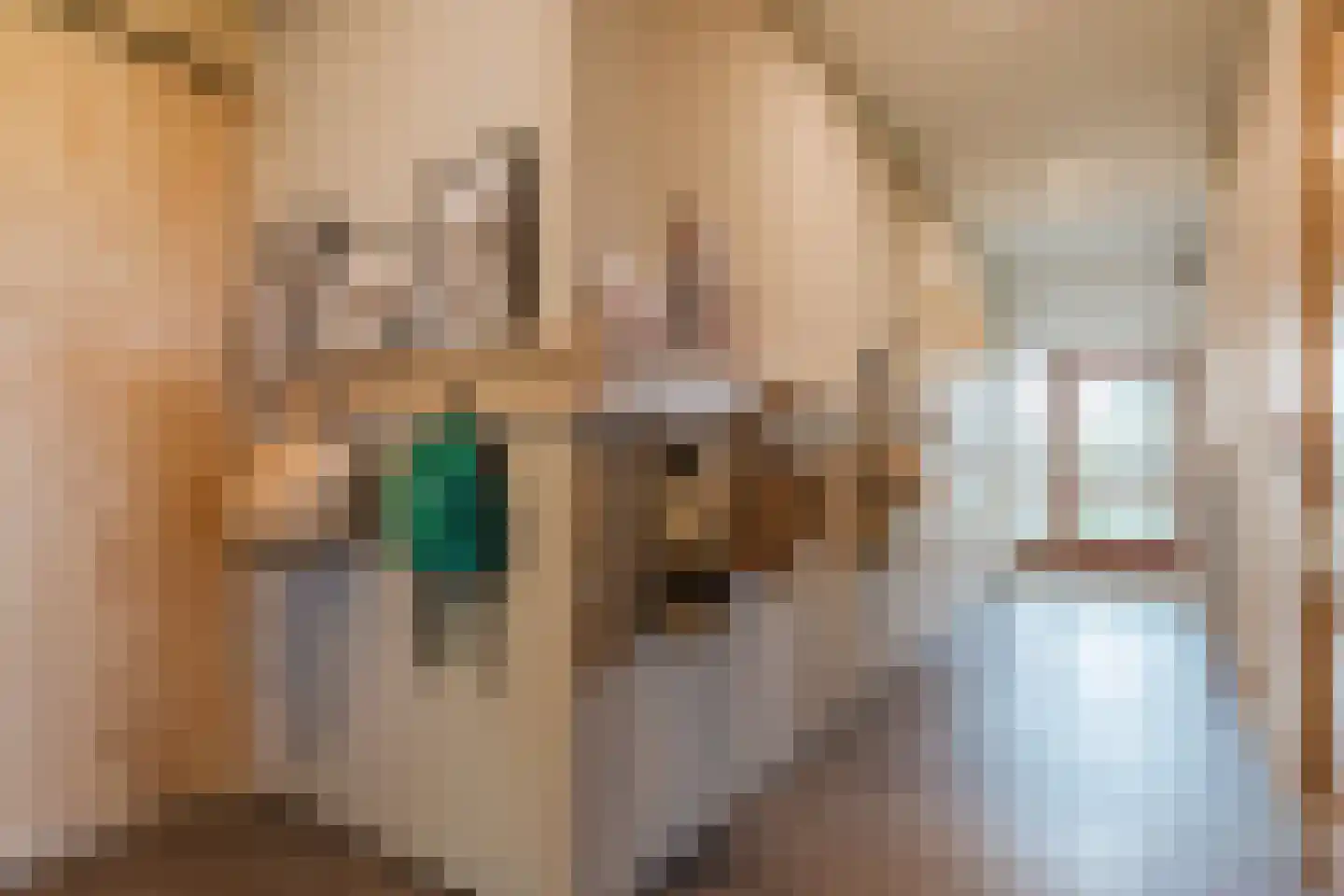 De Hooislagen 4 Dalfsen thumbnail 16