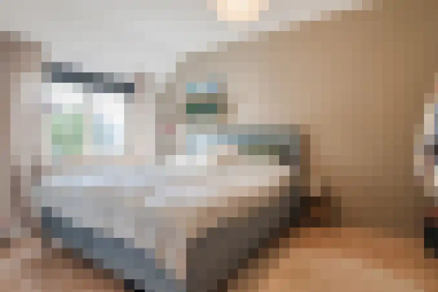 De Hooislagen 4 Dalfsen thumbnail 21