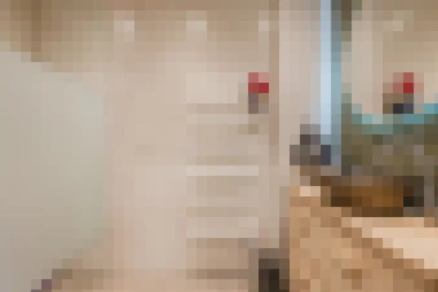 De Hooislagen 4 Dalfsen thumbnail 23