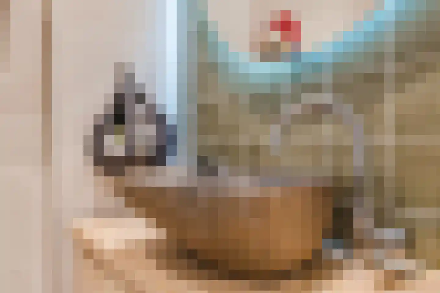 De Hooislagen 4 Dalfsen thumbnail 24