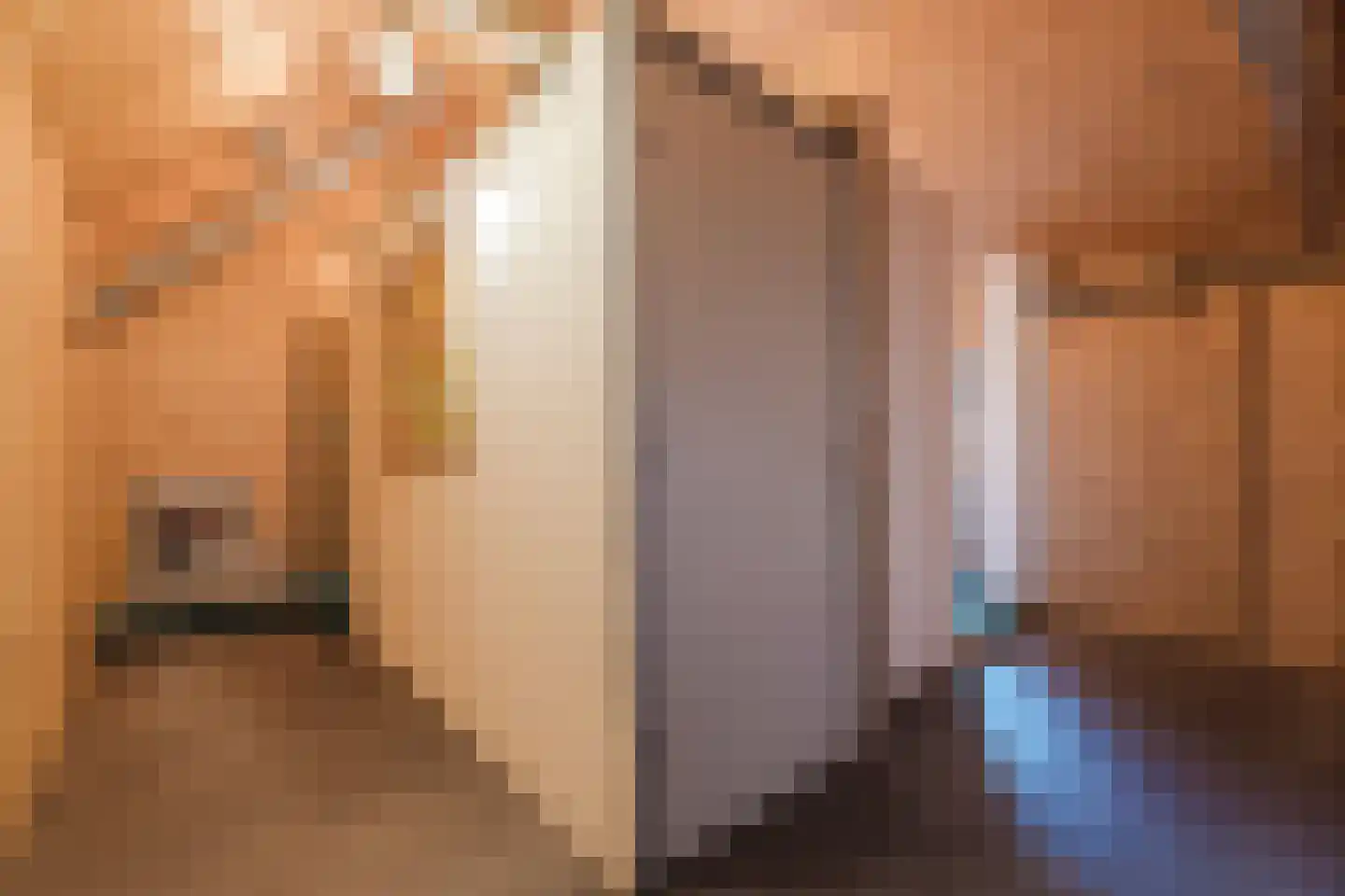De Hooislagen 4 Dalfsen thumbnail 27