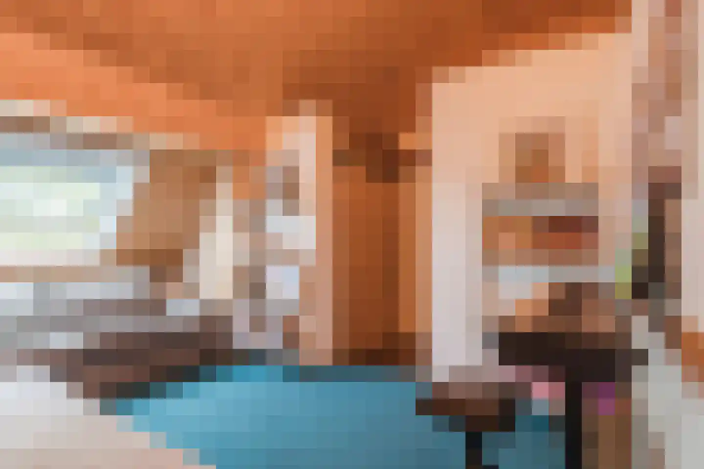 De Hooislagen 4 Dalfsen thumbnail 28