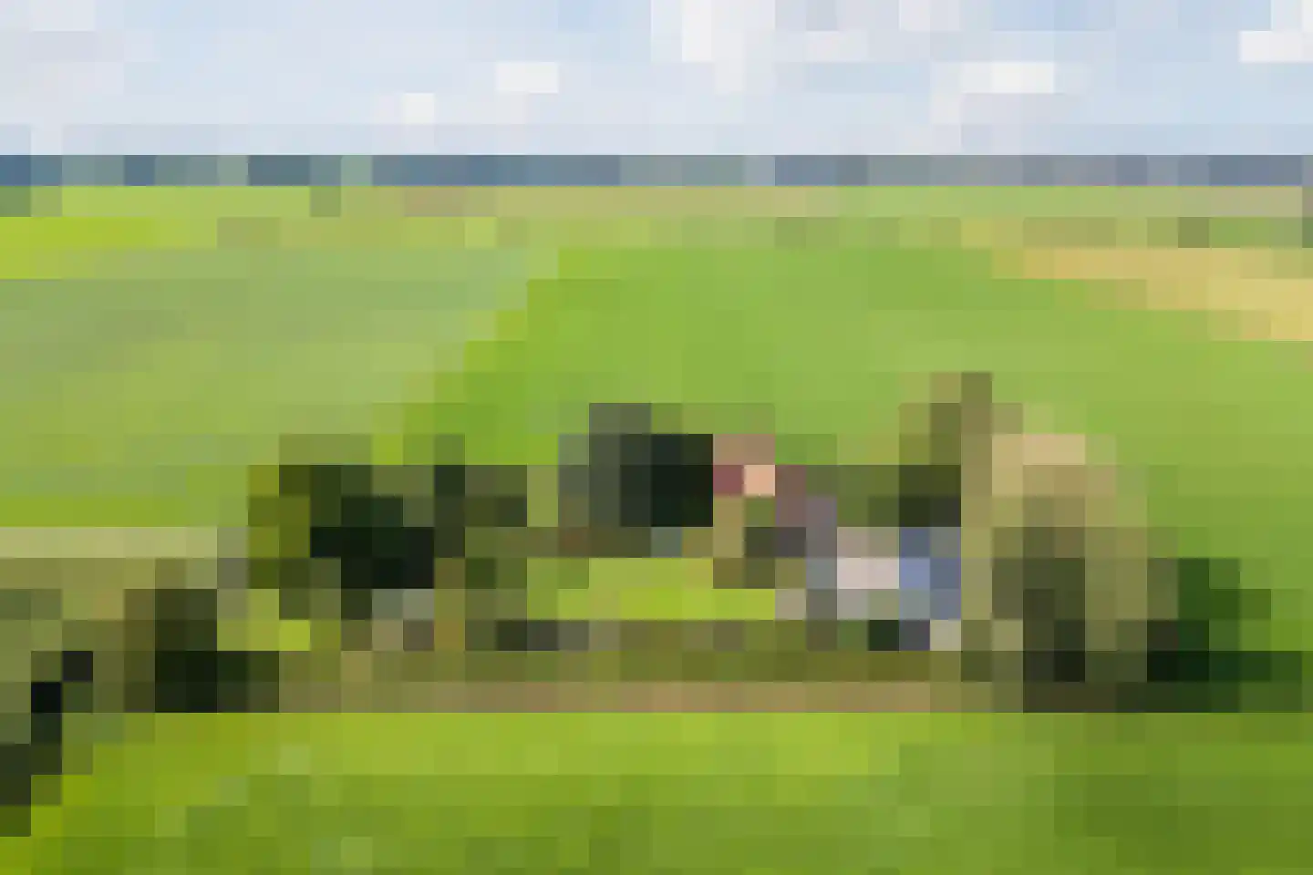 De Hooislagen 4 Dalfsen foto 3