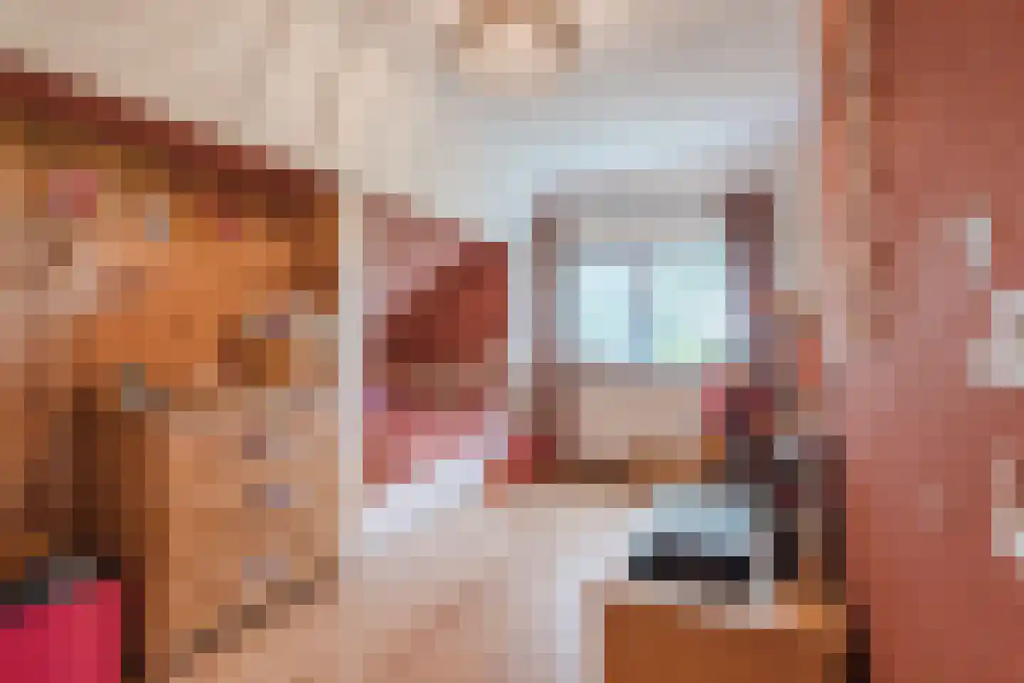 De Hooislagen 4 Dalfsen thumbnail 30