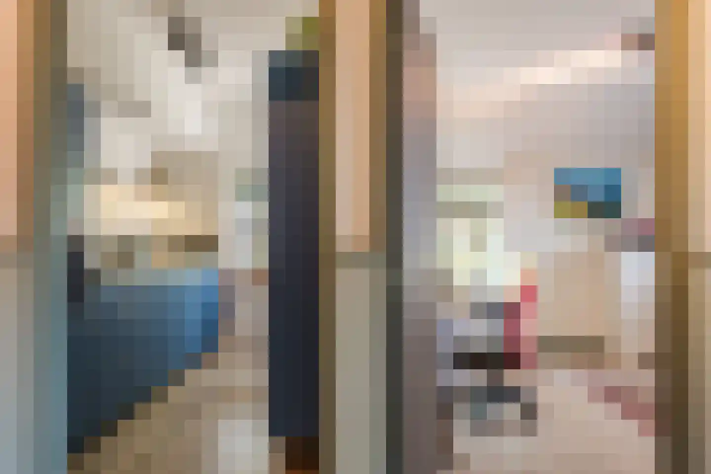 De Hooislagen 4 Dalfsen thumbnail 35