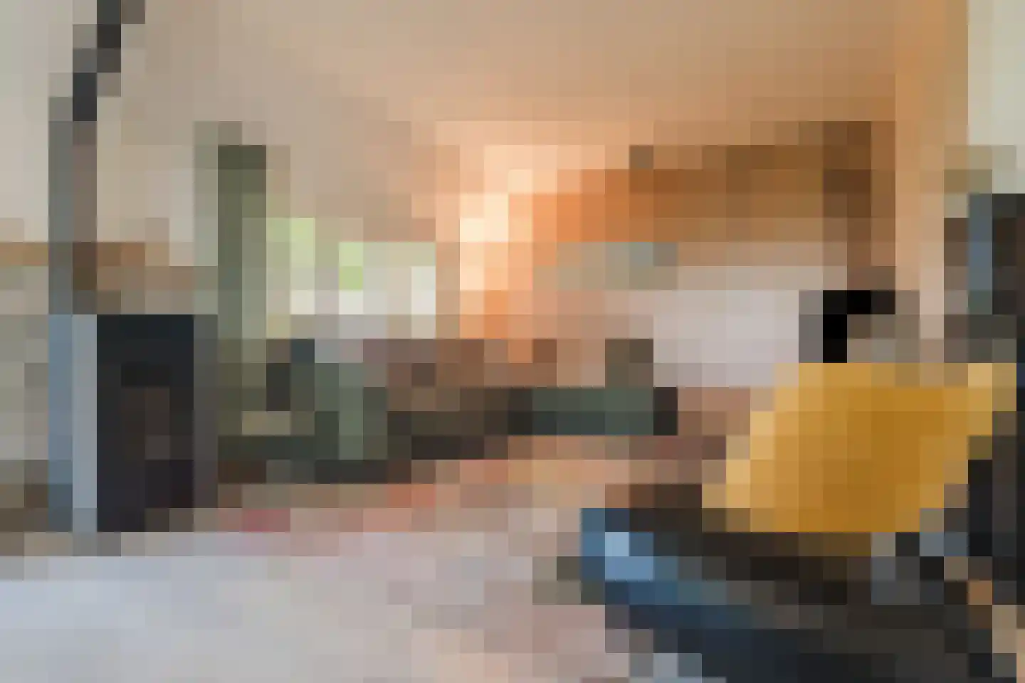 De Hooislagen 4 Dalfsen thumbnail 37