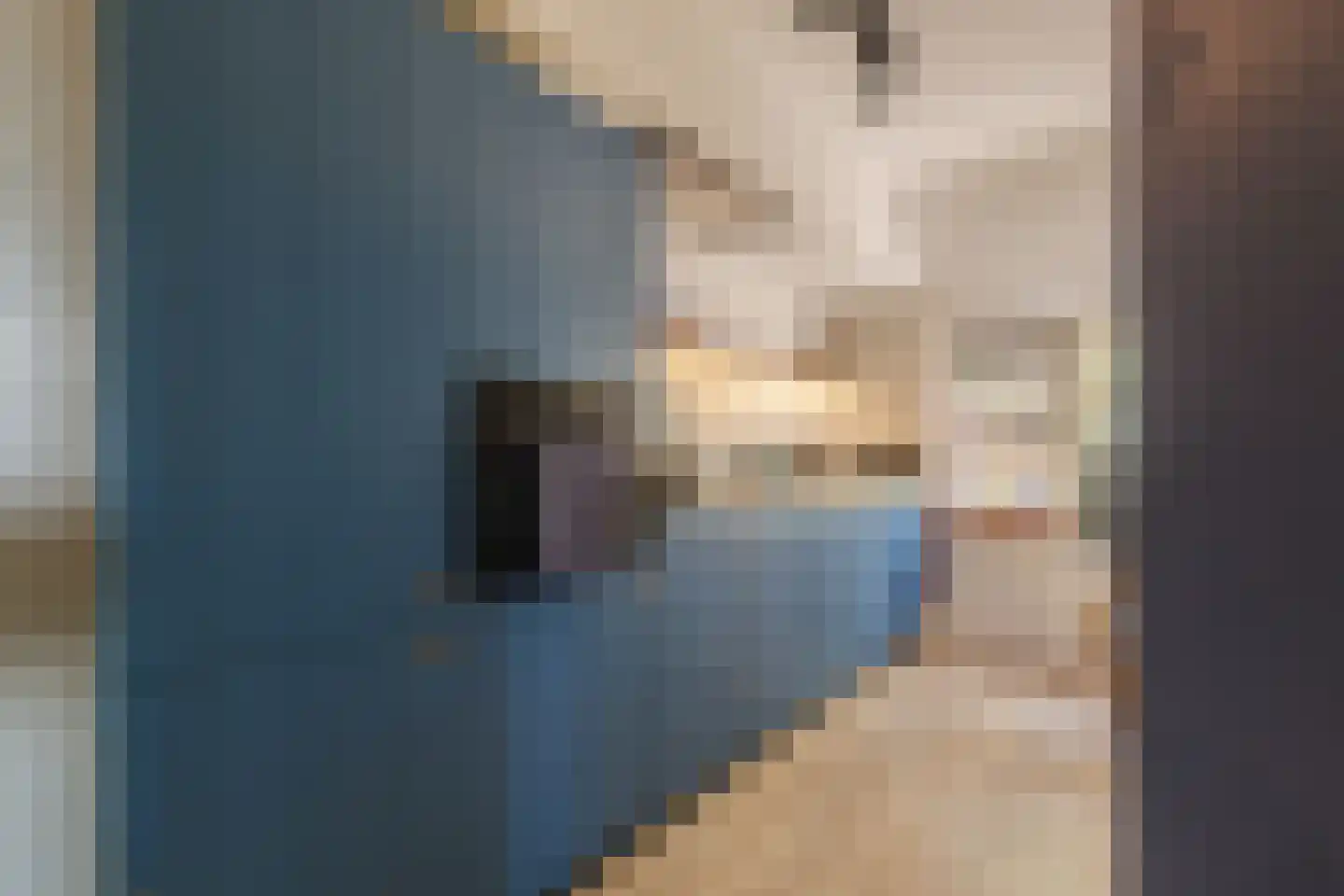De Hooislagen 4 Dalfsen thumbnail 40