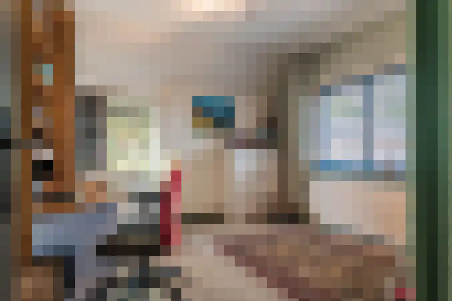 De Hooislagen 4 Dalfsen thumbnail 42