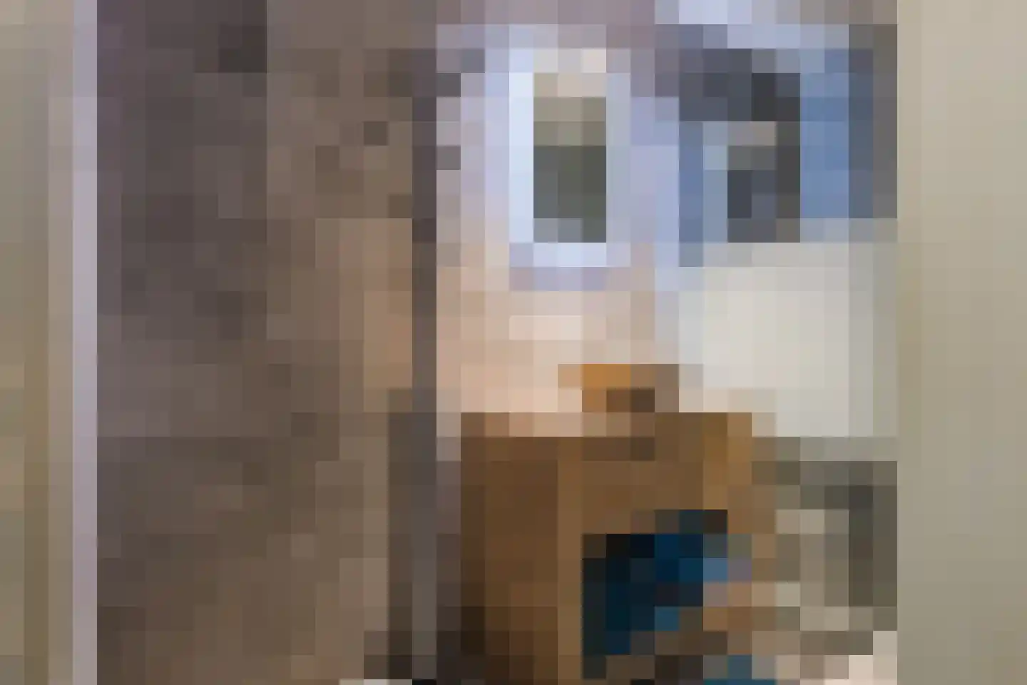 De Hooislagen 4 Dalfsen thumbnail 44