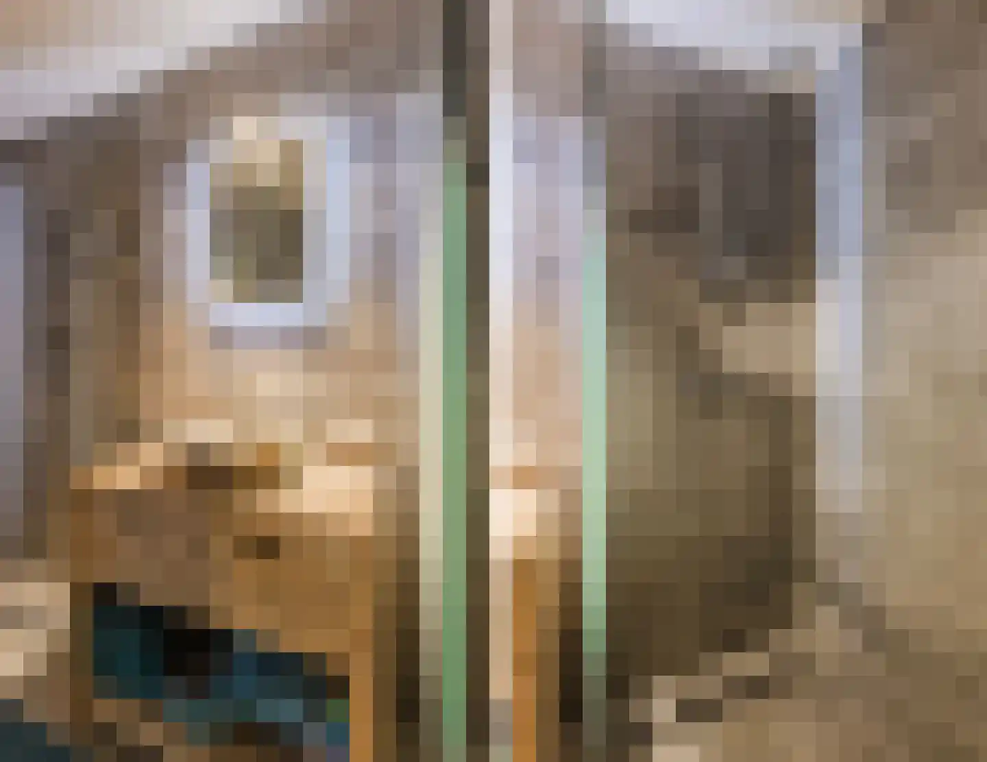 De Hooislagen 4 Dalfsen thumbnail 45