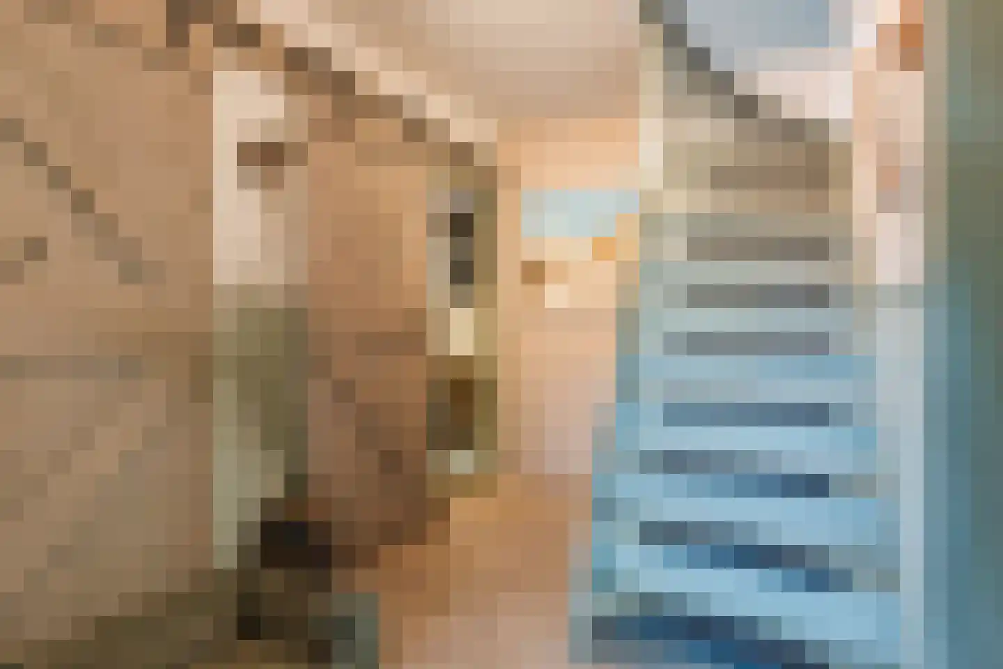 De Hooislagen 4 Dalfsen thumbnail 46