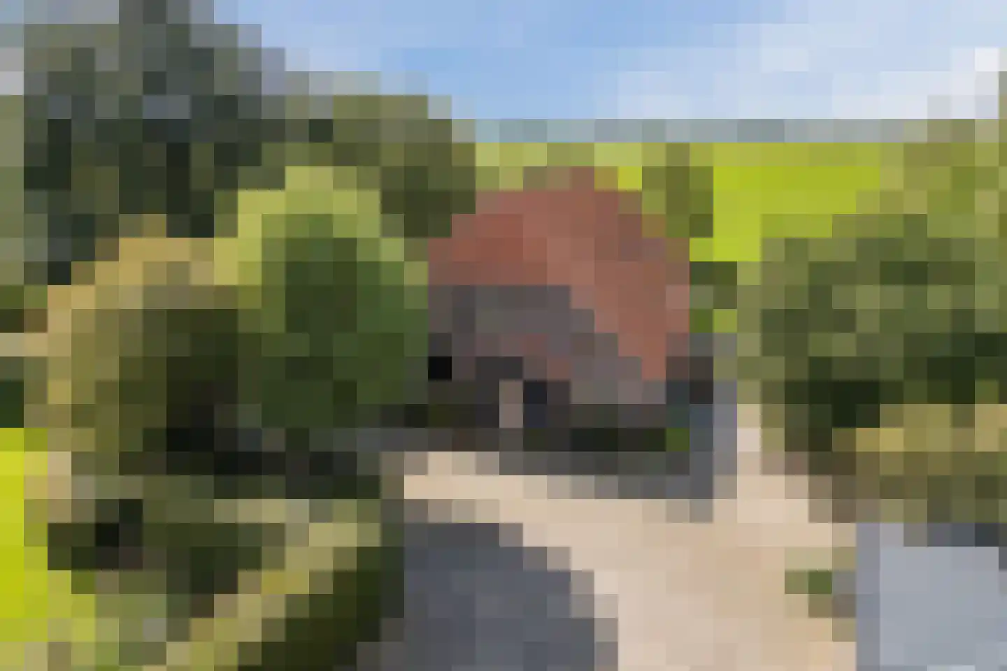De Hooislagen 4 Dalfsen thumbnail 5