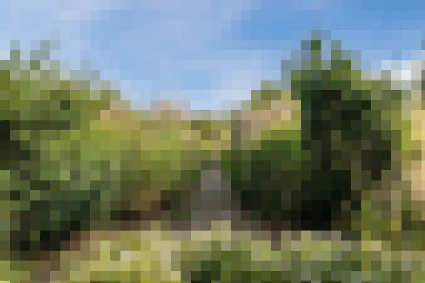 De Hooislagen 4 Dalfsen thumbnail 54