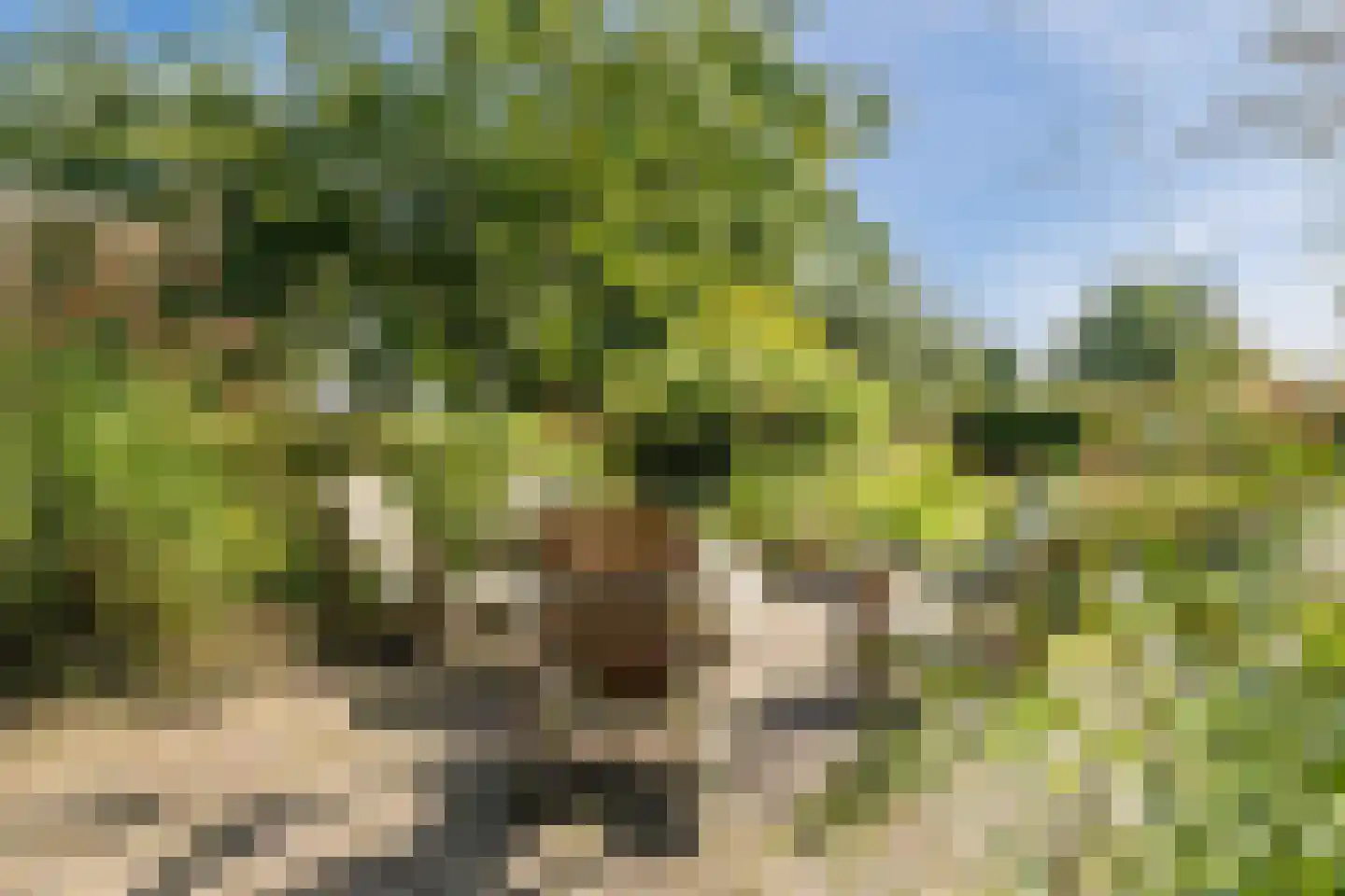 De Hooislagen 4 Dalfsen thumbnail 55