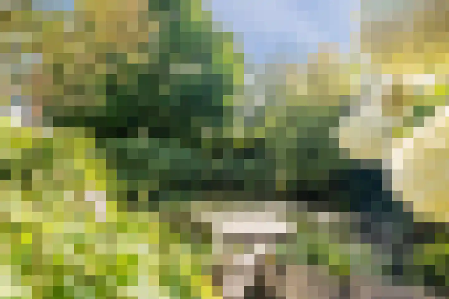 De Hooislagen 4 Dalfsen thumbnail 56