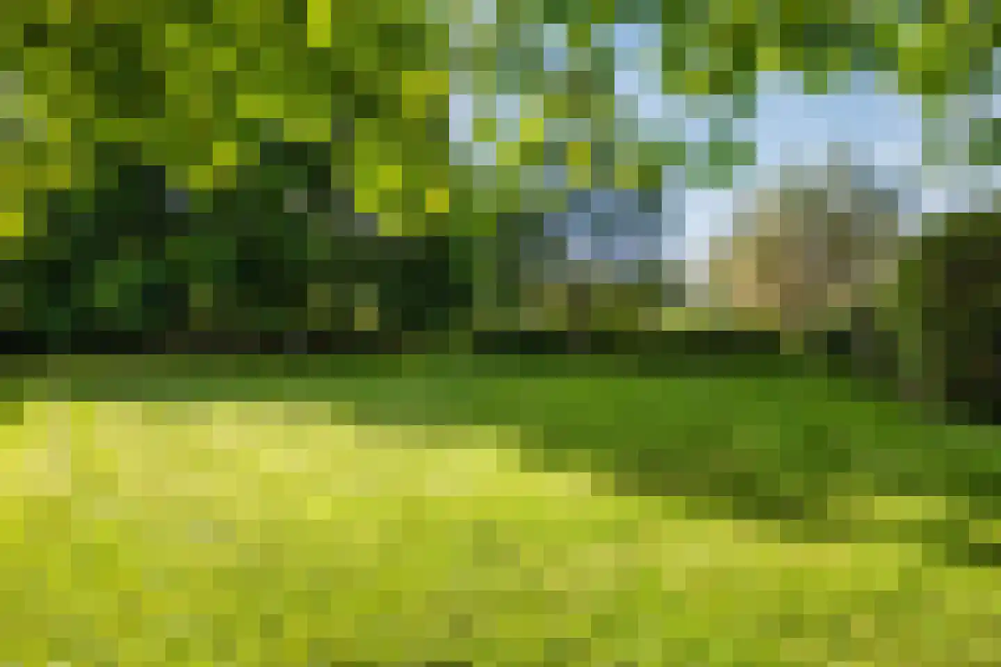 De Hooislagen 4 Dalfsen thumbnail 57
