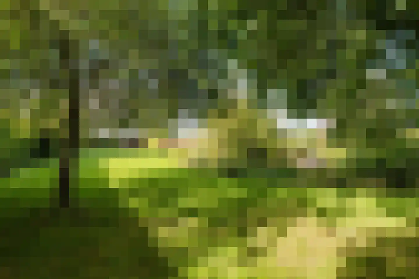 De Hooislagen 4 Dalfsen thumbnail 58