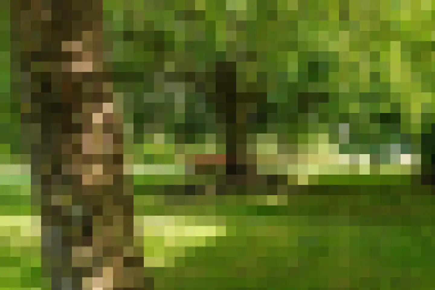 De Hooislagen 4 Dalfsen thumbnail 59