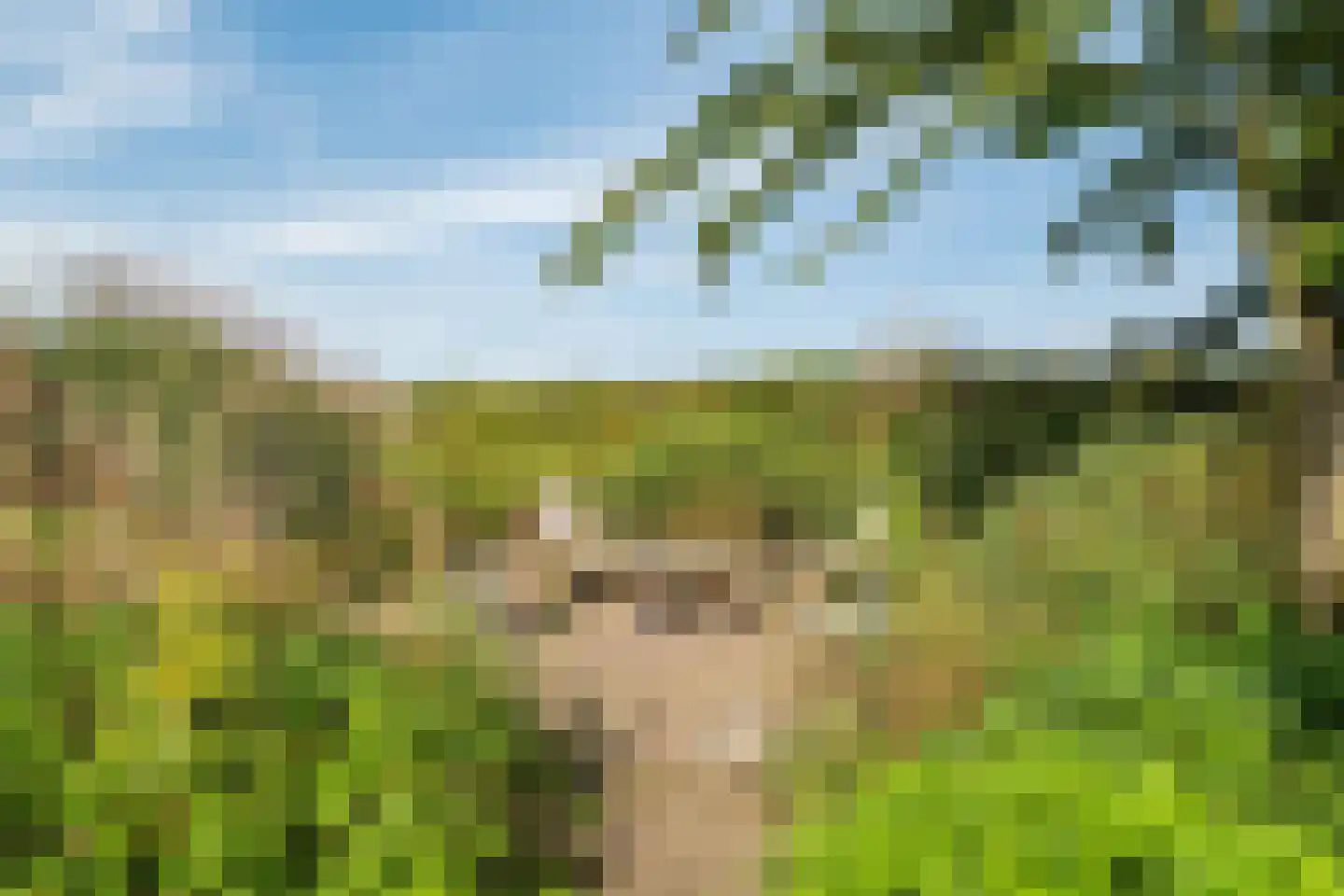 De Hooislagen 4 Dalfsen thumbnail 61