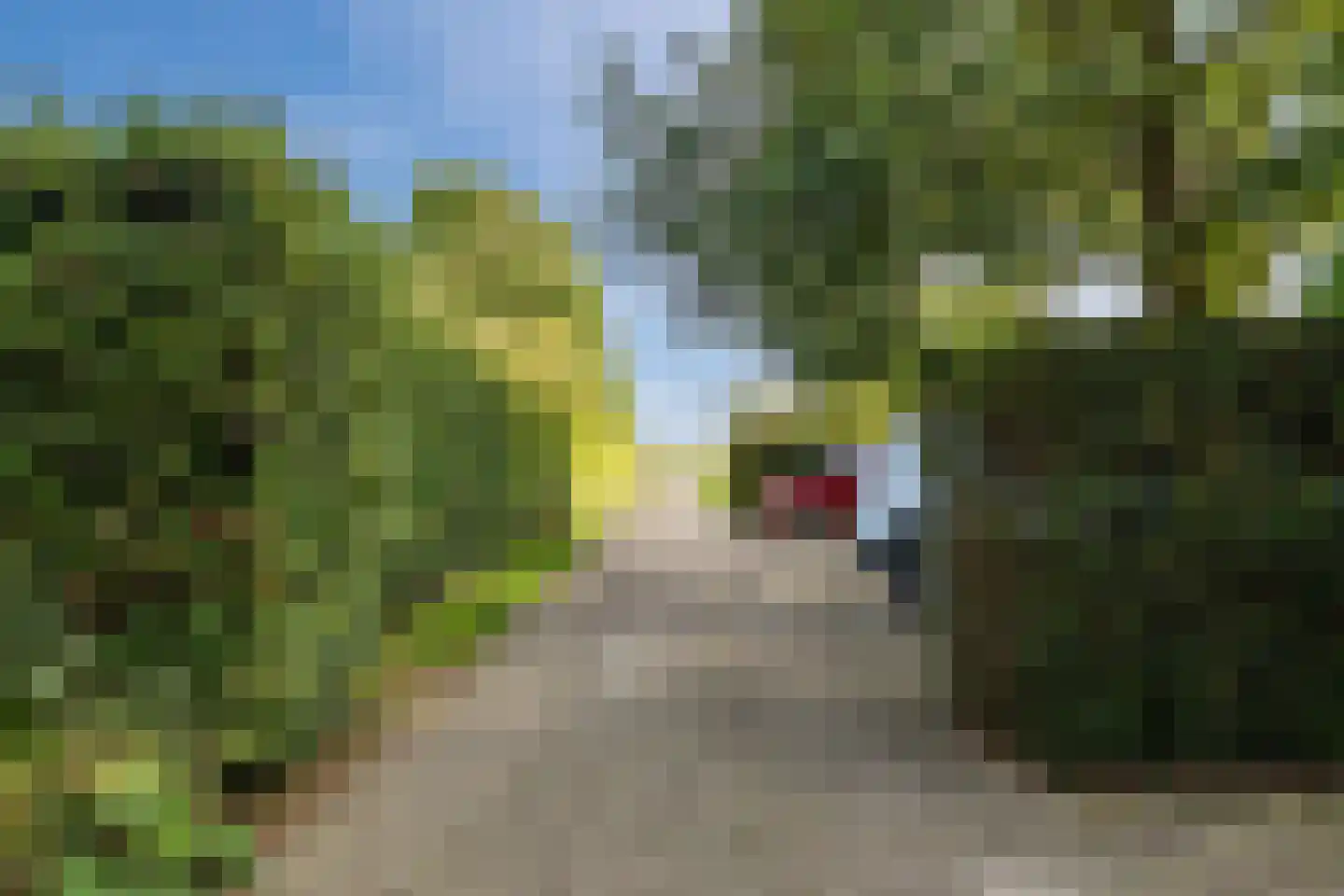 De Hooislagen 4 Dalfsen thumbnail 63