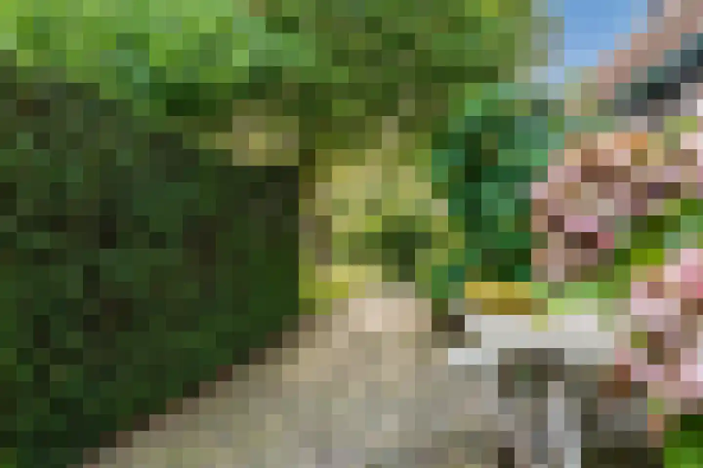 De Hooislagen 4 Dalfsen thumbnail 64