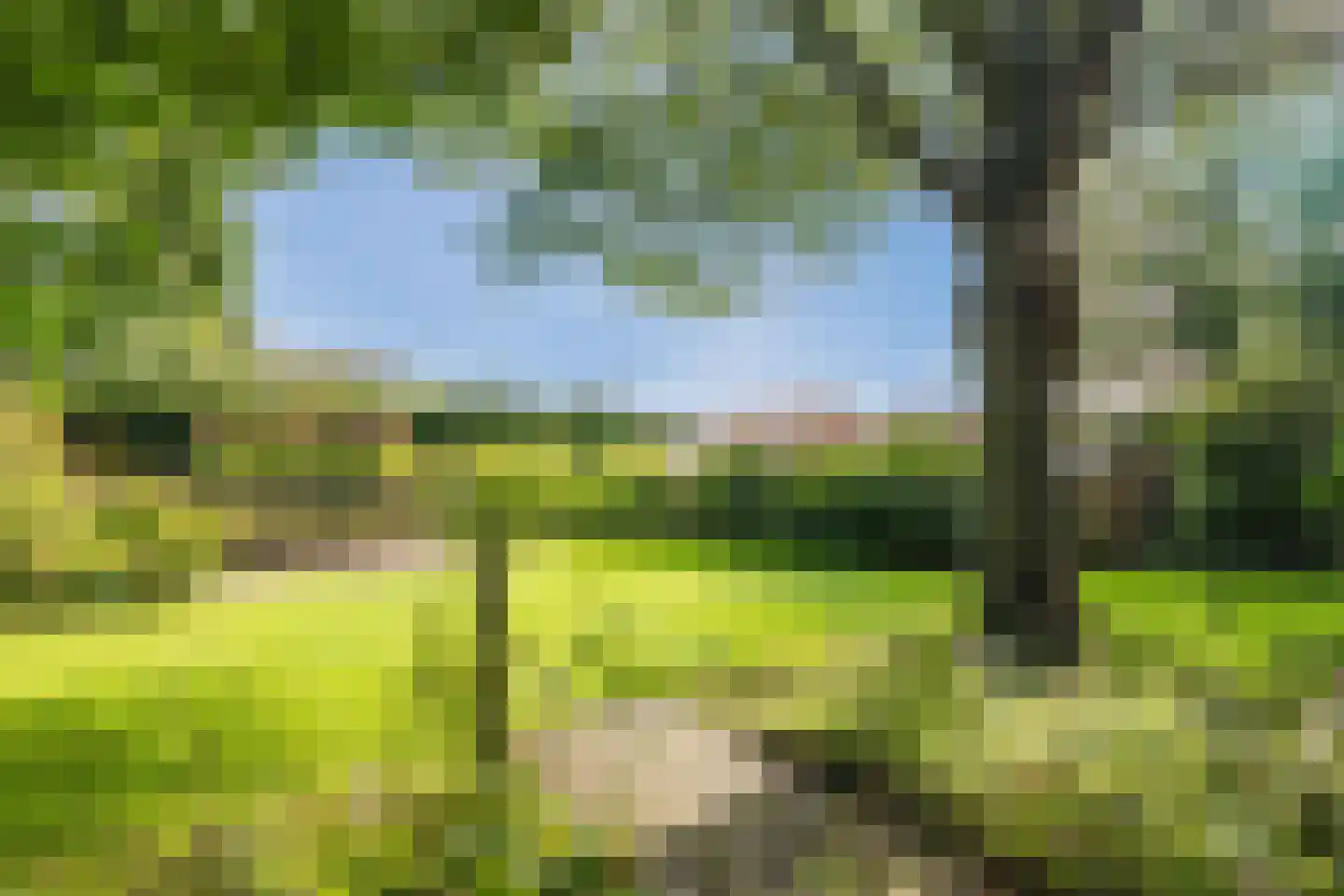 De Hooislagen 4 Dalfsen thumbnail 65